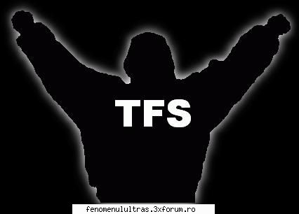 hanorac tfs - dinamo haine
