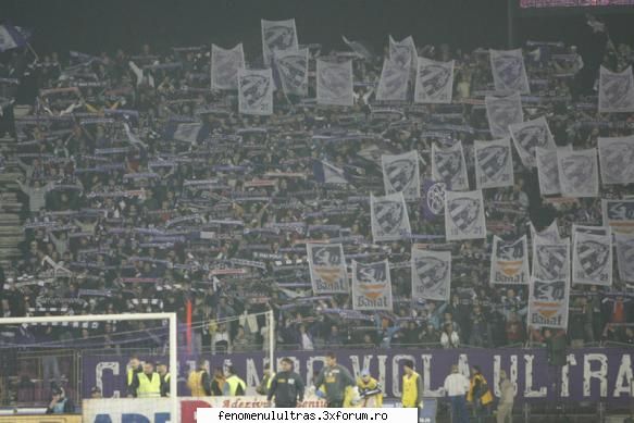 poli -uta poli timisoara