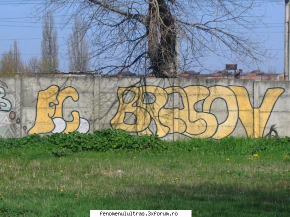 f.c. brasov grafiti