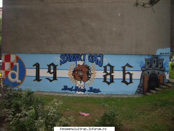 :)) grafiti