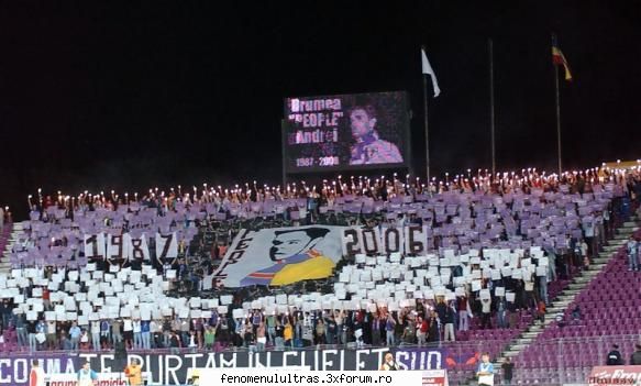 coregrafie in memoria lui drumea andrei poli timisoara