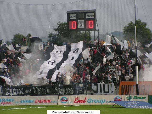 peluza sud jiul - gloria bistrita div a! fenomenul din liga iii-a ?
