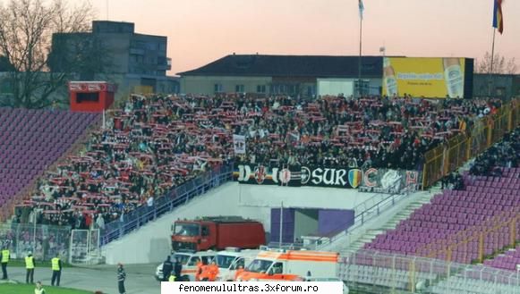 iata poze delameci poli arad