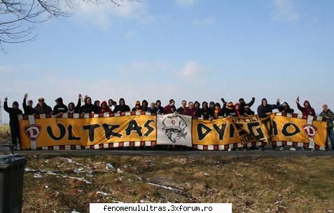 din afara dynamo frumos, zic