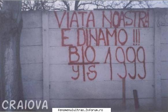 dinamo grafiti