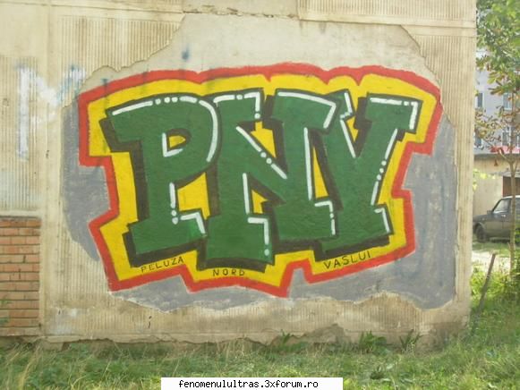 peluza nord vaslui ;) grafiti